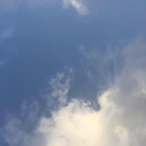 Meet your Posher, Alexander